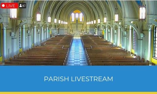 Updated Livestream Mass Recordings